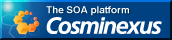 Cosminexus