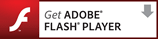 Download Adobe Flash Player