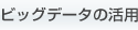 �r�b�O�f�[�^�̊��p
