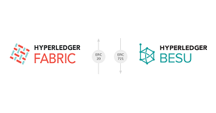 Hyperledger FabricERC-20g[NHyperledger BesuERC-721g[N̓ړ]̎̂߂̋JJn