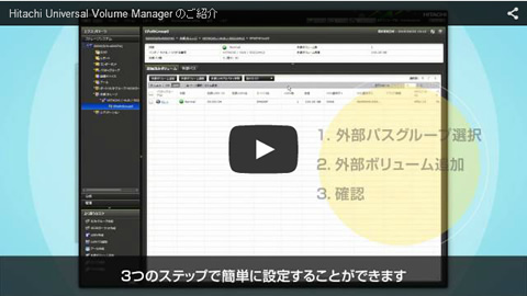 Hitachi Universal Volume Manager ̂Љ