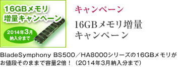 �L�����y�[���\16GB���������ʃL�����y�[��