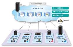 �X�g���[�W