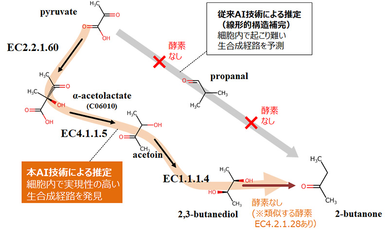 生物進化を模倣することで反応の組合せを最適化する代謝経路探索技術 図2