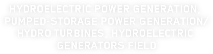 HYDROELECTRIC POWER GENERATION, PUMPED-STORAGE POWER GENERATION/HYDRO TURBINES, HYDROELECTRIC GENERATORS FIELD