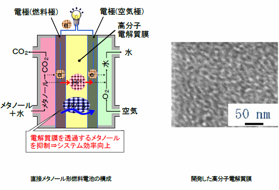 [}]ڃ^m[`Rdr̍\A[摜E]Jqd