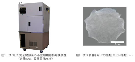 [画像](左)図1. 試作した完全閉鎖系の小型細胞自動培養装置 (右)図2. 試作装置を用いて培養したヒト培養シート