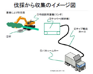 [画像]伐採から収集のイメージ図