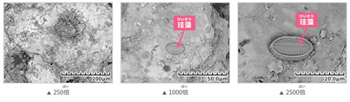 [画像]【電子顕微鏡を通して観察した堆積岩の画像】