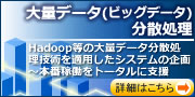 ʃf[^U@Hadoop̑ʃf[^UZpKpVXe̊`{ԉғg[^Ɏx