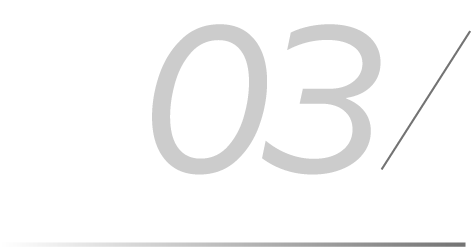 03
