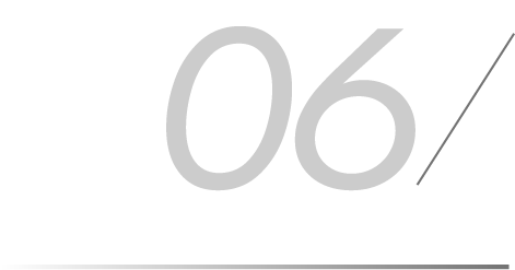 06
