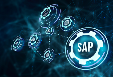 SAP�V�X�e���ُ̈���������Ȃ��@�` SAP�Ď� �`