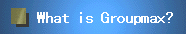 What is Groupmax?