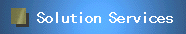 Solution Services