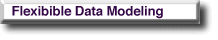 Flexible Data Modeling
