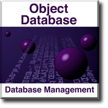 Object Database