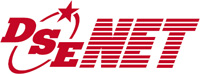 株式会社ディーエスイーネットコンサルティングのロゴ