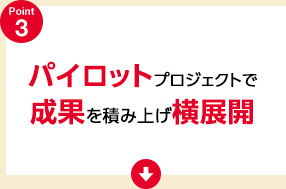 パイロットプロジェクトで成果を積み上げ横展開