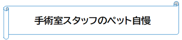 手術室スタッフのペット自慢