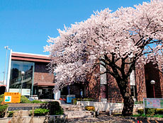 ひたちなか市立図書館