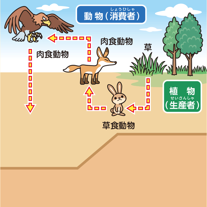 環境の世界 生態系のお勉強 日立キッズ