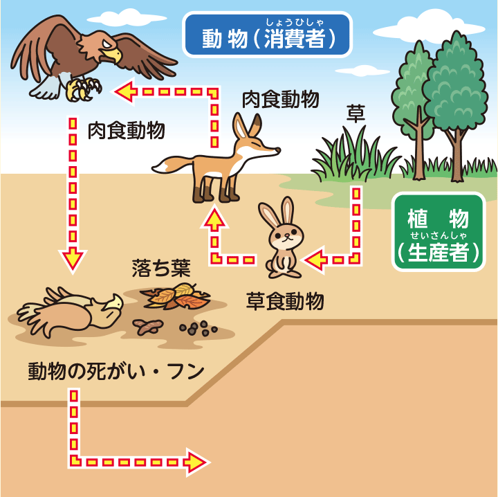 動物生理学 環境への適応 動物生理学: 環境への適応 | クヌート シュミット=ニールセン