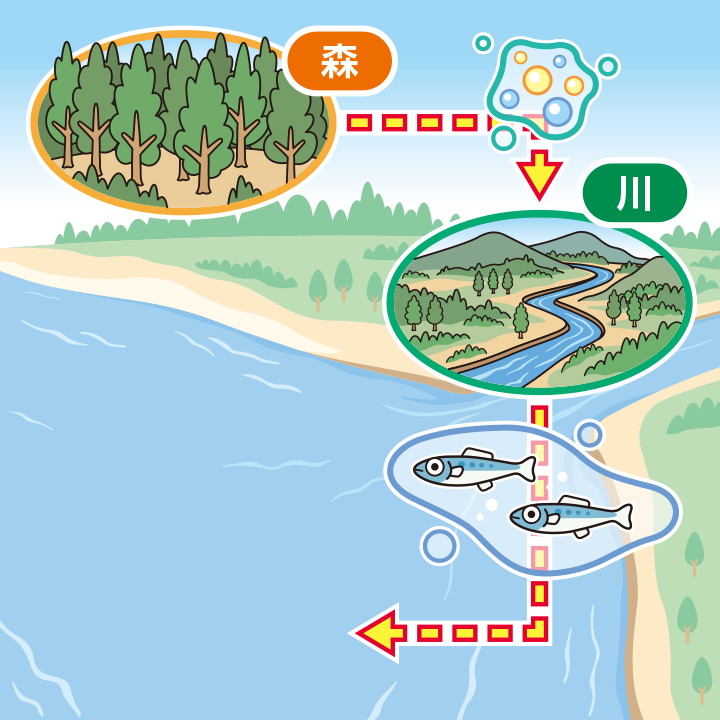動物生理学: 環境への適応 動物生理学: 環境への適応 | クヌート シュミット=ニールセン