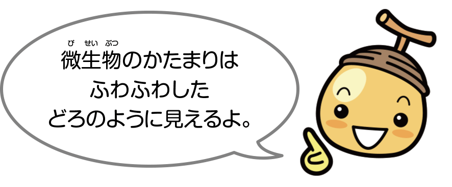よごれた水をきれいにするしくみ 日立キッズ よごれた水をきれいにするしくみ 日立キッズ