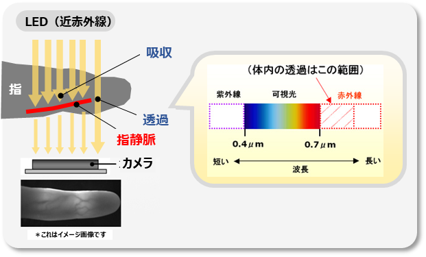 日立の指静脈認証技術