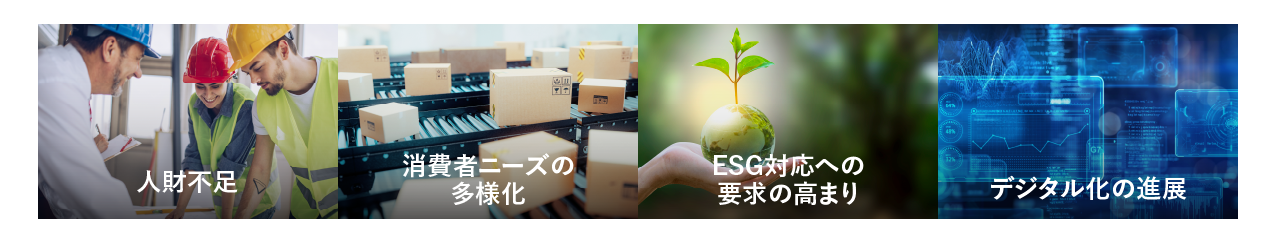 EƂ芪