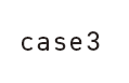 case3