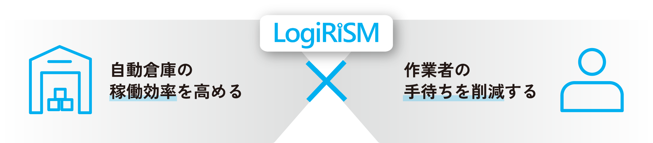 LogiRiSMのソリューション