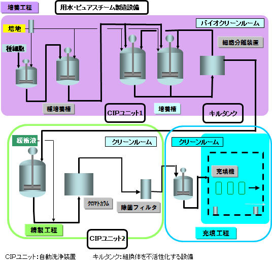 画像:細胞培養による医薬品製造プロセス