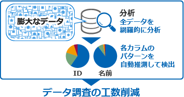 膨大なデータを分析（全データを網羅的に分析）→各カラムのパターン（ID、名前etc.）を自動推測して検出→データ調査の工数削減