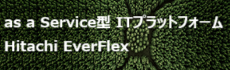 EverFlex