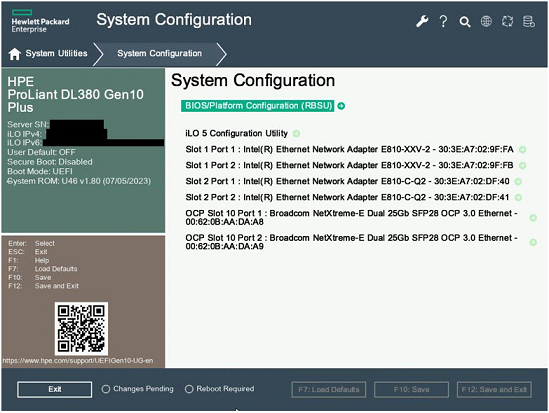 アドバイザリ]MegaRAIDコントローラー搭載装置(VMware ESXi環境