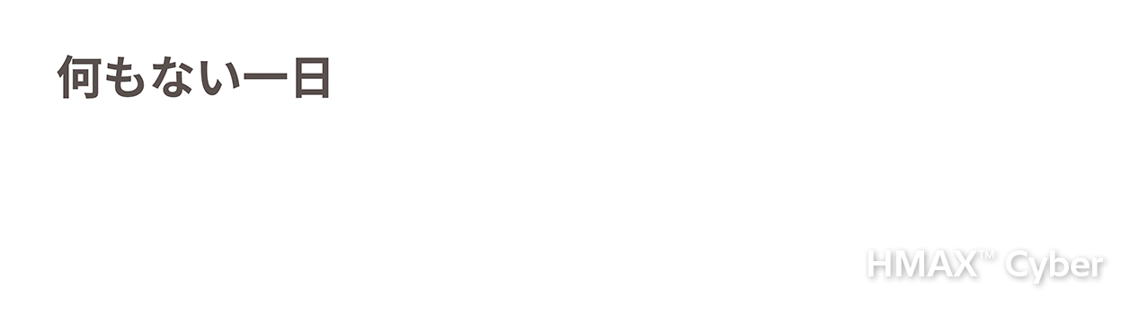 �����Ȃ�����ɉ��l�𐶂ݏo���BHMAX Cyber