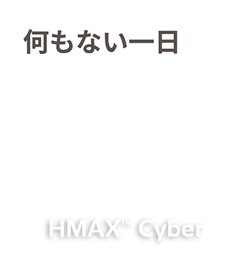 �����Ȃ�����ɉ��l�𐶂ݏo���BHMAX Cyber
