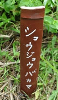 [ʐ^] D