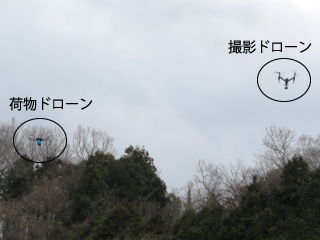 h[Q̓s̗lq