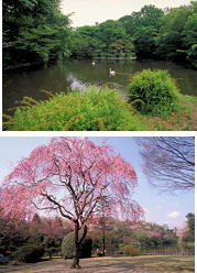 春の風景