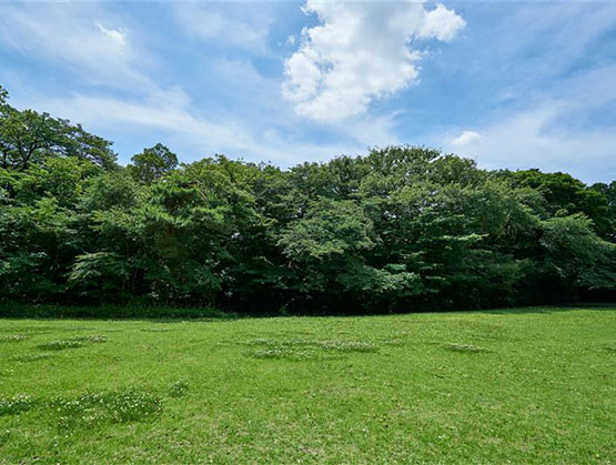 協創の森の自然