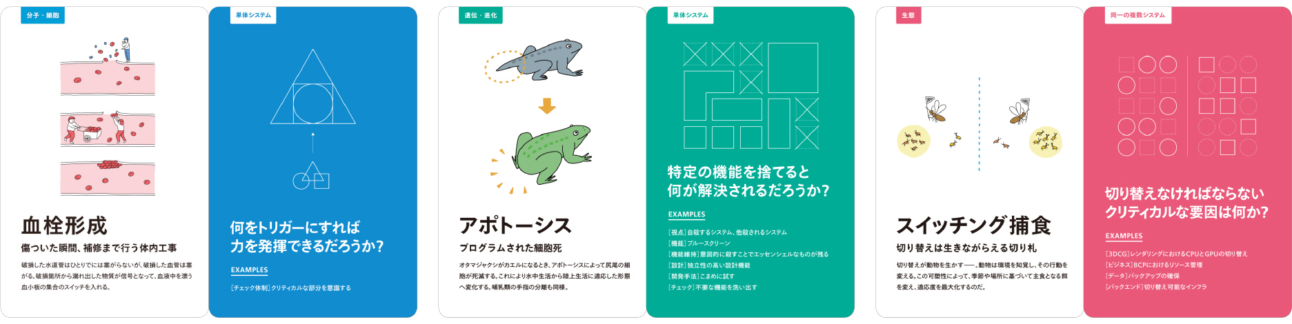 「生き物ひらめきカード」の構成例（各カードの左側が生物面、右側がシステム面）