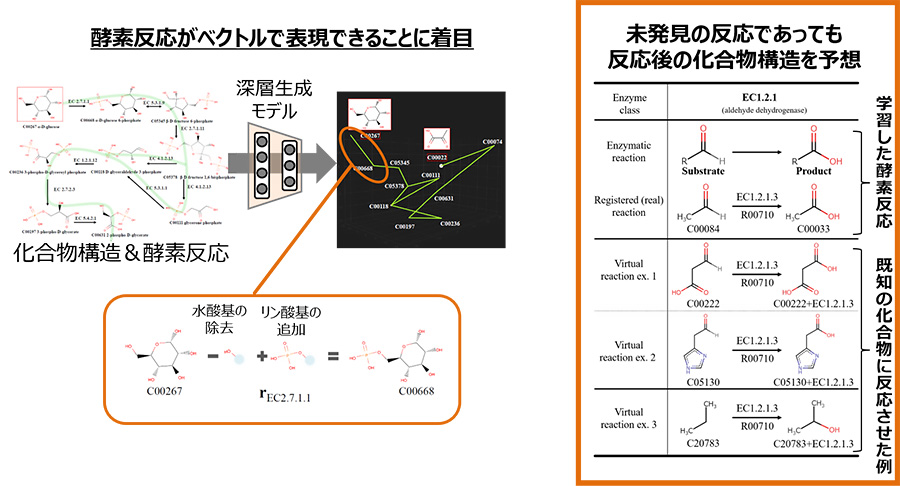 酵素反応前後の化合物の構造変化を予測するAI技術