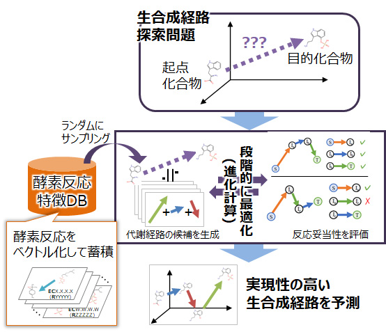 生物進化を模倣することで反応の組合せを最適化する代謝経路探索技術 図1