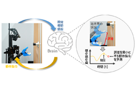 作業内容や環境が変化しても行動をリアルタイムに決定・実行可能な深層予測学習型のロボット制御技術を開発