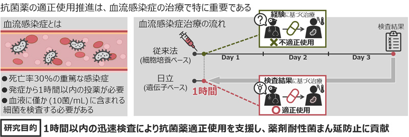 図1　現在の血流感染症治療における原因菌検査と治療のプロセス