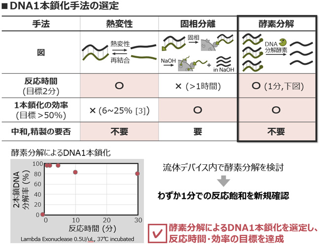 DNA１本鎖化手法の選定