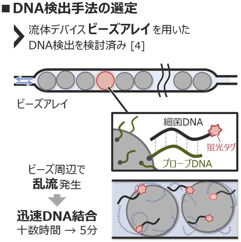 DNA検出手法の選定